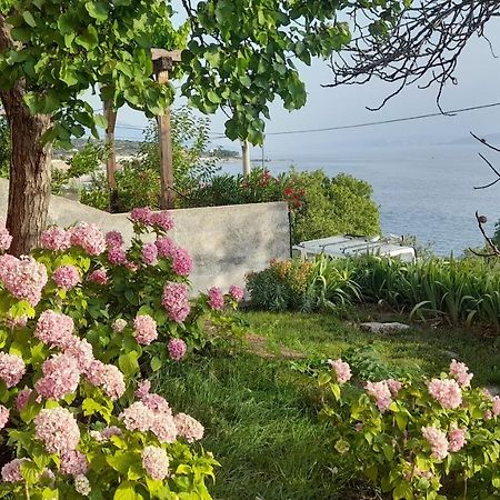Apartments Mare Croatia Senj  Esterno foto